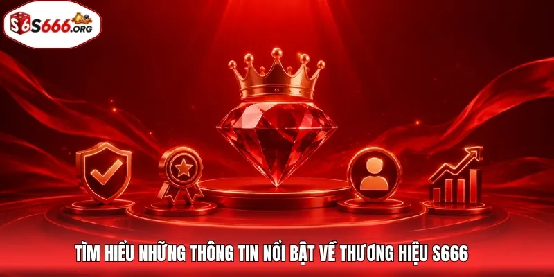 Cẩm nang nhận diện thông tin S666 tại School1
